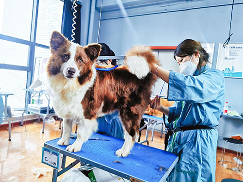 1657874334451977.jpg 44.jpg