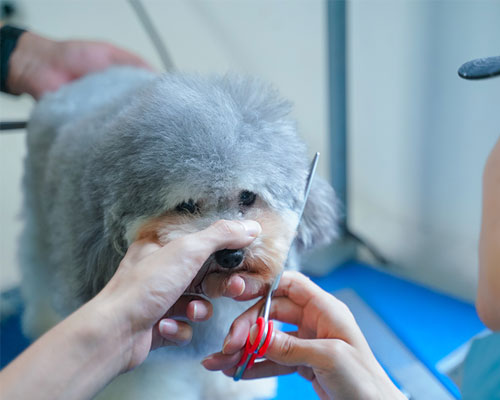 1658219673121491.jpg 27.jpg