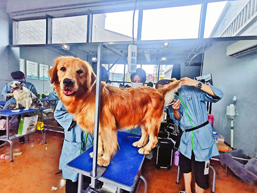 1658219904879058.jpg 41.jpg