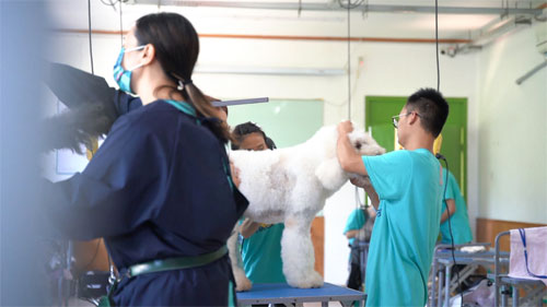 1658545384662598.jpg 1.jpg