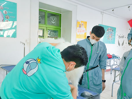 1659513987463942.jpg 30.jpg