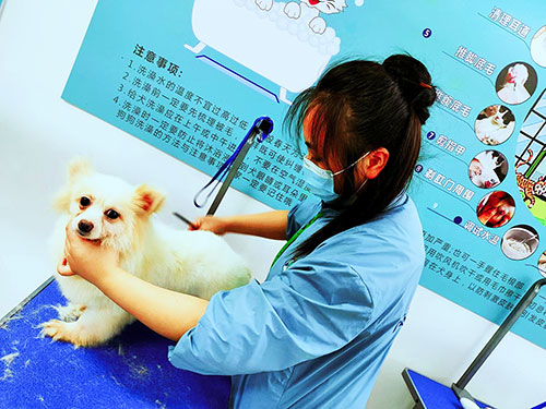 1661333193675075.jpg 38.jpg