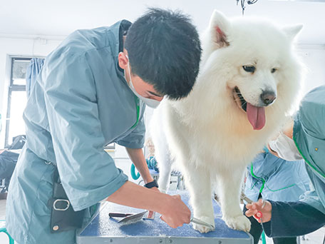 1663147357309469.jpg 31.jpg