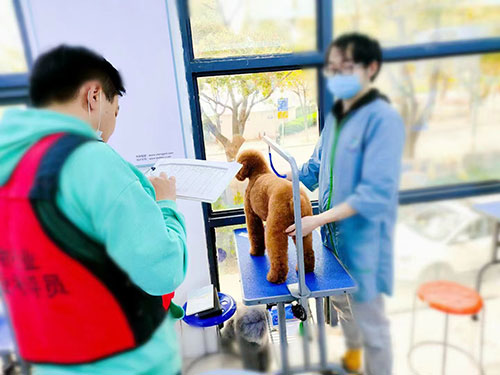 1663147463467752.jpg 50.jpg