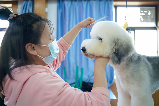 1665744318495631.jpg 35.jpg