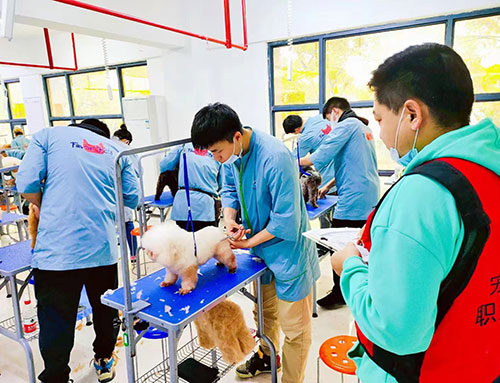 1665744324417293.jpg 51.jpg