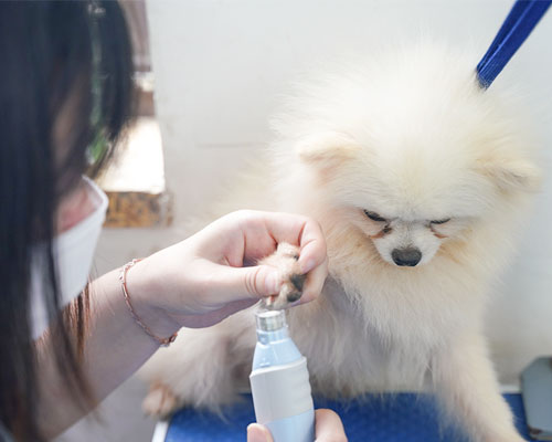 1667209753345548.jpg 11 - 副本.jpg