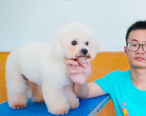 1667209837362655.jpg 14.jpg