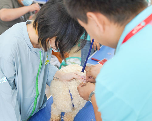 1669714886397918.jpg 12.jpg