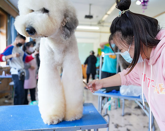 1675069568367304.jpg 36.jpg