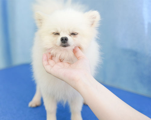 1675933508912585.jpg 13.jpg