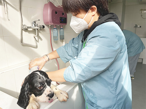 1680339868516291.jpg 9.jpg