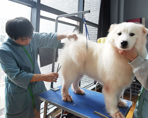 1680594936441013.jpg 23.jpg