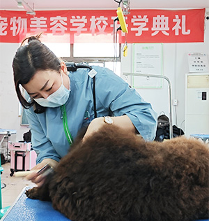 1681723574127460.jpg 16.jpg