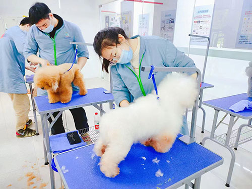 1682502050664689.jpg 48.jpg