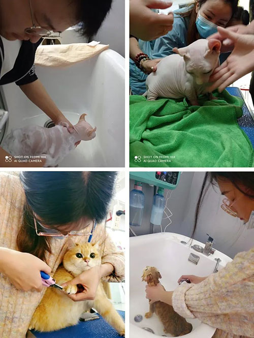 1682579005534024.jpg 1.jpg