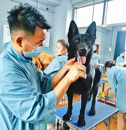 1683101781588621.jpg 43.jpg