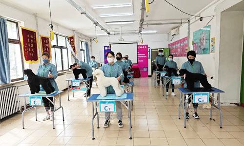 1684144170849738.jpg 1.jpg