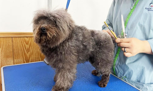 1684210912761208.jpg 52.jpg