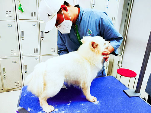 1684835039910607.jpg 39.jpg