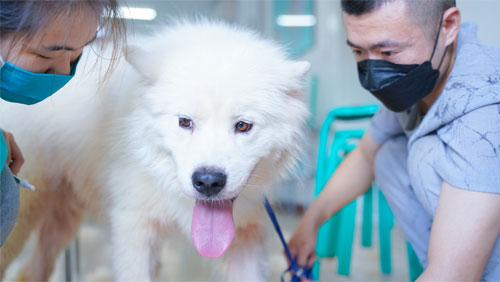 1685007219639220.jpg 2.jpg