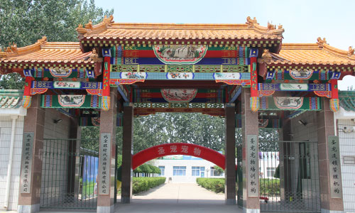 1685007235883416.jpg 4.jpg