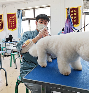 1685699666518492.jpg 12.jpg