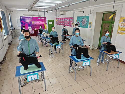 1685785676946904.jpg 3.jpg