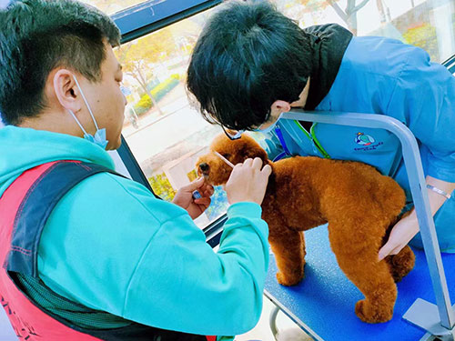 1685958826455172.jpg 47.jpg