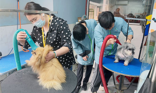 1688462388736201.jpg 3.jpg