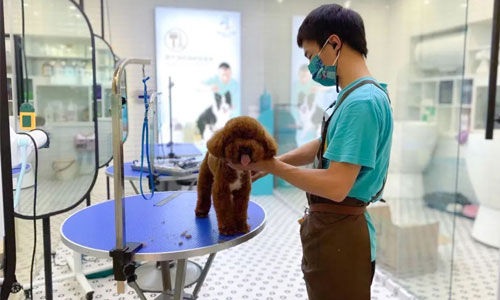 1690365945492388.jpg 59.jpg