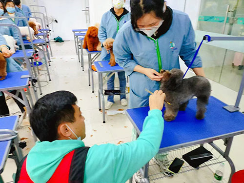 1690969985291747.jpg 46.jpg