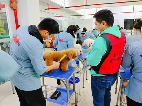 1691400656314802.jpg 45.jpg