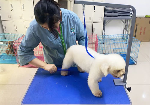 1691745056237477.jpg 63.jpg