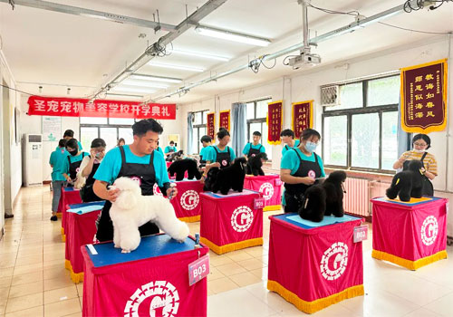 1692956287402125.jpg 3.jpg