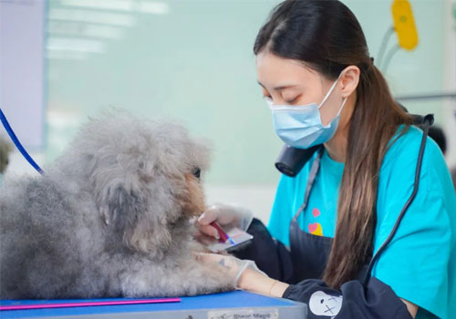 1693902942751333.jpg 66.jpg