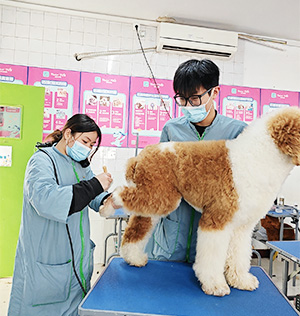 1694511732761519.jpg 15.jpg