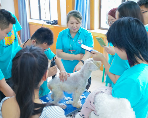 1695634790169380.jpg 4.jpg