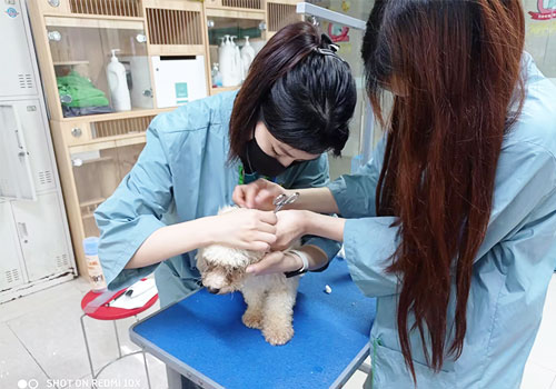 1695806974268163.jpg 2.jpg