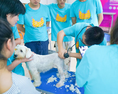 1695807014405571.jpg 6.jpg