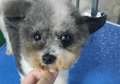 1697791696144508.jpg 60.jpg