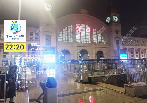 1709104710135226.jpg 2.jpg