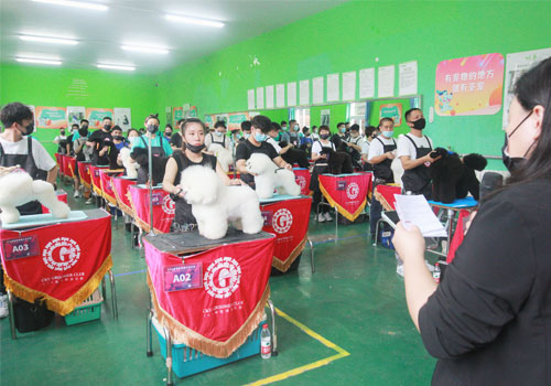 1709113603462366.jpg 3.jpg