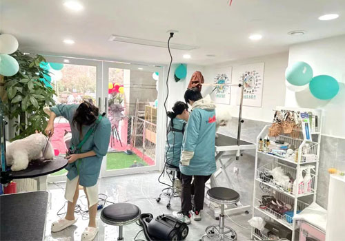 1710927115862318.jpg 3.jpg