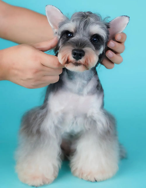 1711533224325338.jpg 2.jpg